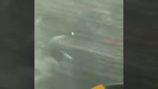 Сухой туман. Краснодар ул. Лизы Чайкиной 20/1 смотреть онлайн