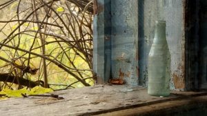 У них был самый красивый дом,но теперь всё в прошлом. Заброшенная деревня где то в лесу