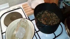 Маринованные рыжики в собственном соку