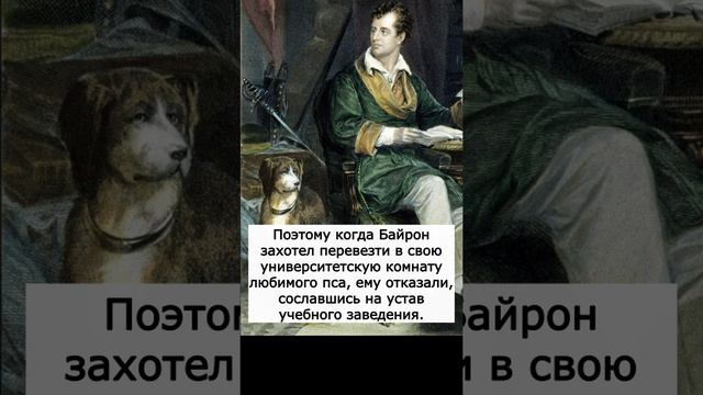 Как Байрон привёз в университет медведя #shorts #книги #юмор