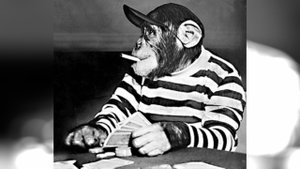 Необычные законы США