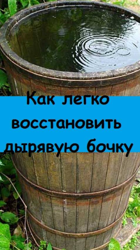 Старая протекающая бочка - я ее починила за несколько минут - показываю свой способ
#дача #огород