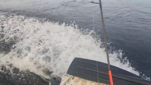 брызги из под баллонов китобой 365