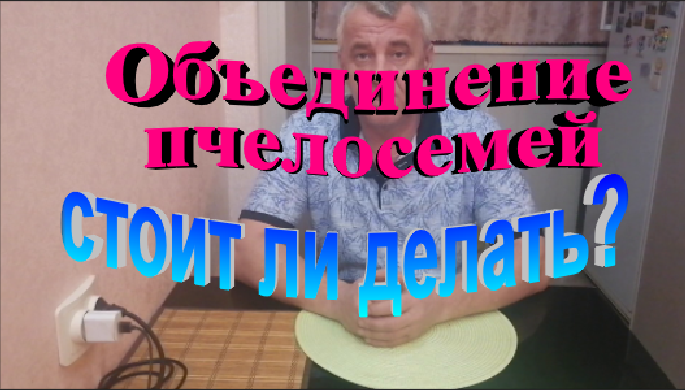 Объединение пчелосемей. Стоит ли это делать? смотреть онлайн