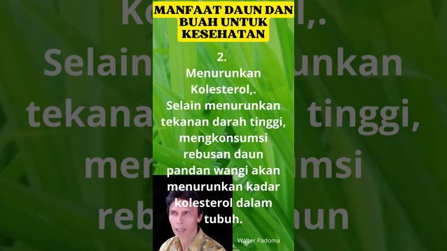 MANFAAT DAUN DAN BUAH, UNTUK KESEHATAN,  DAUN PANDAN, WP Production #walterpadoma #daunpandan