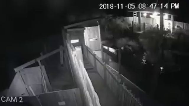 Крокодилы смотреть онлайн