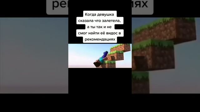 Когда девушка сказала, что залетела, но ты так и не смог найти её видос в рекомендациях) #Майнкрафт