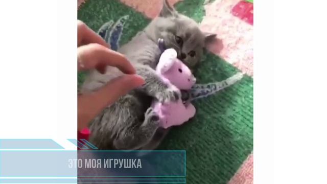 Это моя игрушка