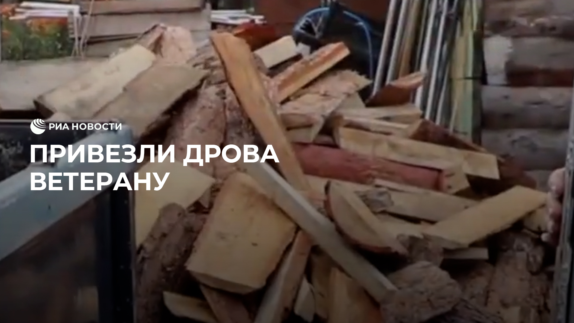 Бабушка с дровами. Мужчина с дровами. Дрова ветеранам. Дрова. Внук помогает складывать дрова.