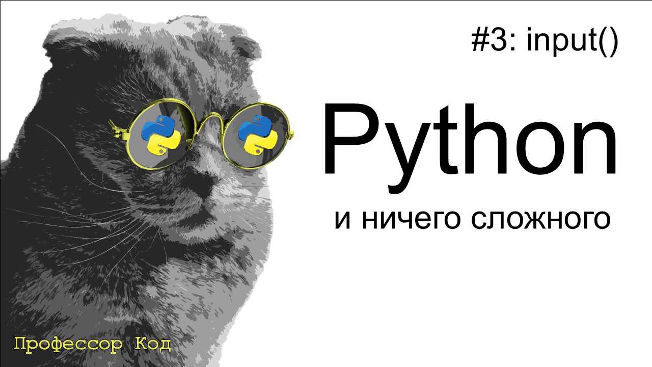 input() | Python для начинающих | Профессор код