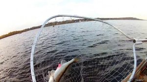 Рыбалка на Каме. Судак, щука на джиг.