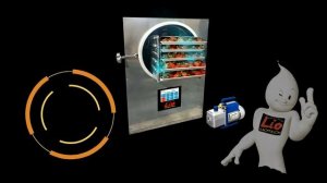 ЧЕСНОК СУБЛИМИРОВАННЫЙ