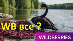 Wildberries все?  Маркетплейсы  Маркет Ozon Yandex market  Megamarket AliExpress только и ждут ВБ