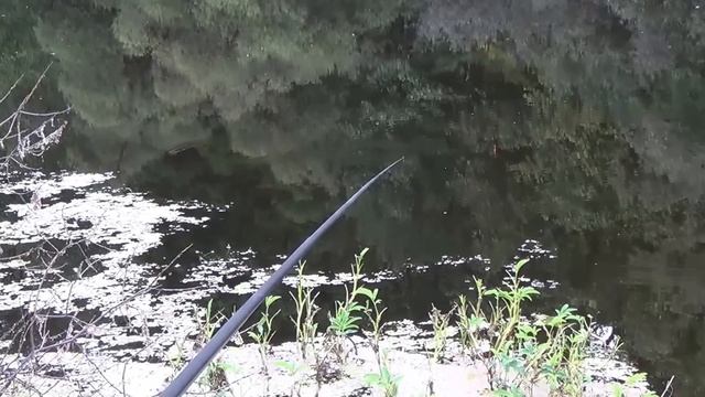 Как мы ездили линя ловить смотреть онлайн