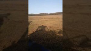 Копнитель пк-1,6