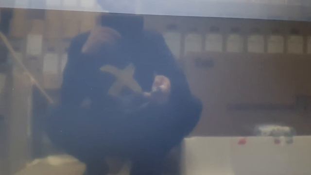 Телевизор Xiaomi Mi TV 4s 43" Global смотреть онлайн