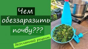 Чем обеззаразить почву? Бесплатный способ