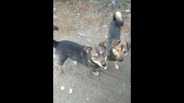 Добрые Поступки смотреть онлайн