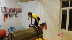 Вольтижировка от "А" до "Я": 10 способов перейти с шеи лошади на спину