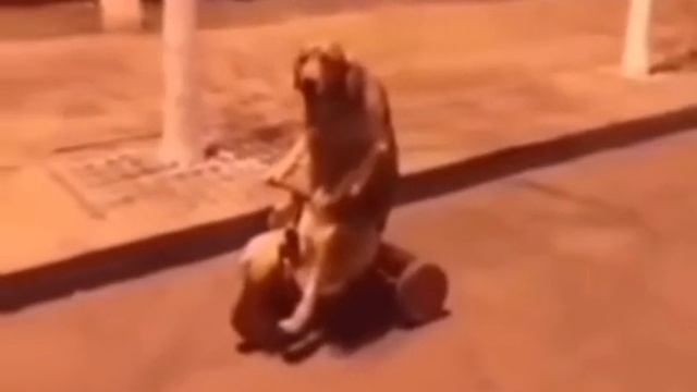 ЭВОЛЮЦИЯ