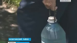 Река Шипуниха стала зловонной в Искитимском районе