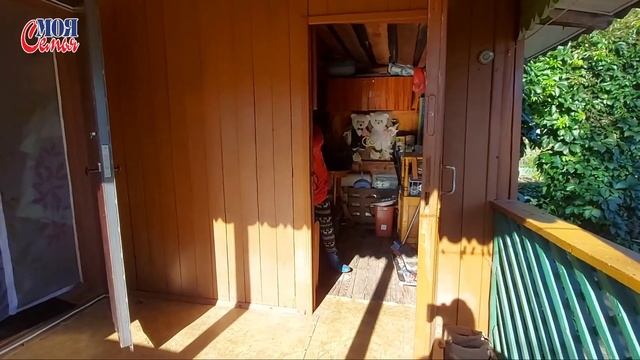 Что мы вырастили на огороде//наш урожай//осень 2020//моя семья//семейный влог//наша дача/family vlo смотреть онлайн