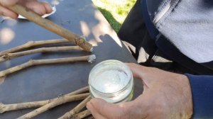 Кильчеватор своими руками для винограда. Ставим черенки винограда в кильчеватор.