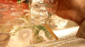 мицелий белых грибов mycelium white mushrooms