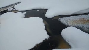 Пробная охота на соболя капканами часть 1