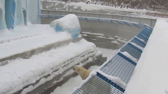 Кай и снегоуборочная машина 28.12.16 смотреть онлайн