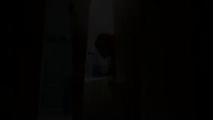 Все виды анонимусов