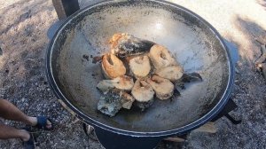 ЛУЧШИЙ РЕЦЕПТ ЩУКИ В КАЗАНЕ! ЖАРЕНАЯ ЩУКА В КАЗАНЕ В МАНКЕ НА МАСЛЕ! ОБЯЗАТЕЛЬНО ПОПРОБУЙ! ВКУСНО!