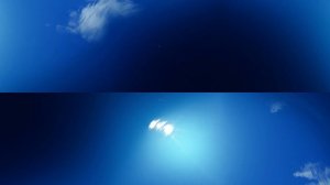 360° VR - BLOOP Eats You