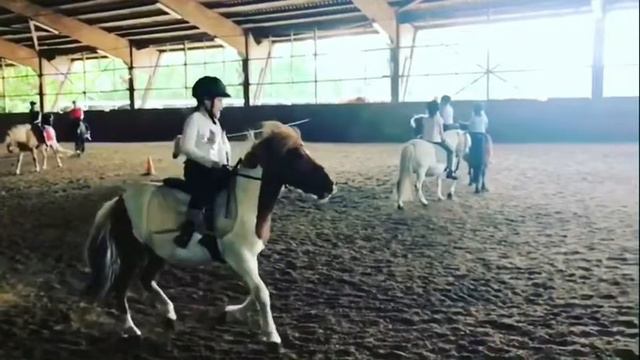 Ich liebe Reiten ❤️ смотреть онлайн