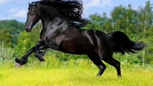 А. Н. Толстой. Повести и рассказы. Архип