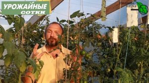 ПРИРОДНОЕ ОБЕЗЗАРАЖИВАНИЕ ПОЧВЫ. Самый простой способ уничтожить инфекцию в почве, доступный всем!