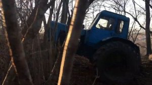 Т 40 ам и мтз 80 в лесу