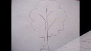 Как нарисовать берёзу