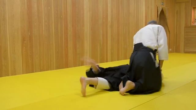 Айкидо практика (реальный бой). смотреть онлайн