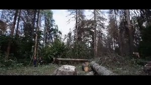 dmi Дятьково 2015