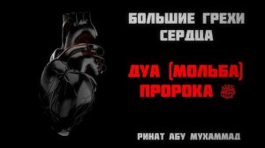 1_Большие_грехи_сердца__Дуа_пророка_ﷺ____Ринат_Абу_Мухаммад.mp4