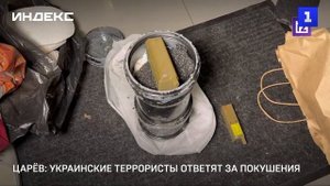 Царёв: украинские террористы ответят за покушения