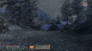 The Elder Scrolls 4: Oblivion Livestream