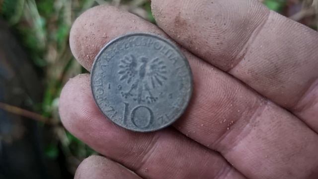 TO BYŁ STRZAŁ !!! POSZUKIWANIA W RUINACH I BAGNACH смотреть онлайн