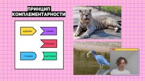 #1 Основные понятия | Задачи 27 на синтез белка | Правильное оформление | ЕГЭ Биология