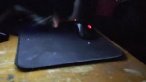 Кот ест семечки