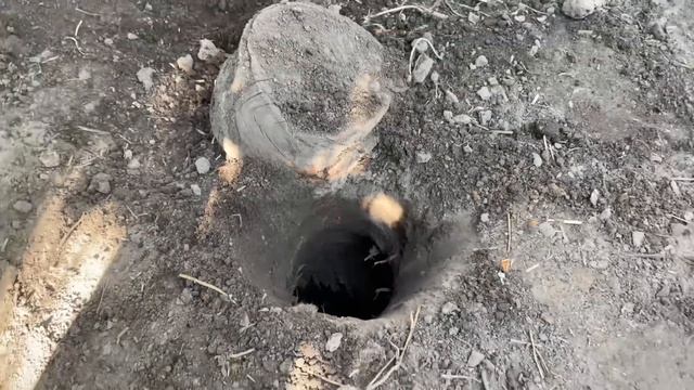 Как сделать не большой КУРЯТНИК своими руками быстро и просто