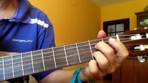 Petite Fleur Guitar Chords 2.0