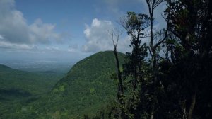 La Mamelle de Pigeon en Guadeloupe