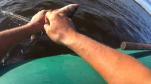 СПОЙМАЛ ОГРОМНОГО НАЛИМА| Рыбалка огромными сетями в КАРЕЛИИ!